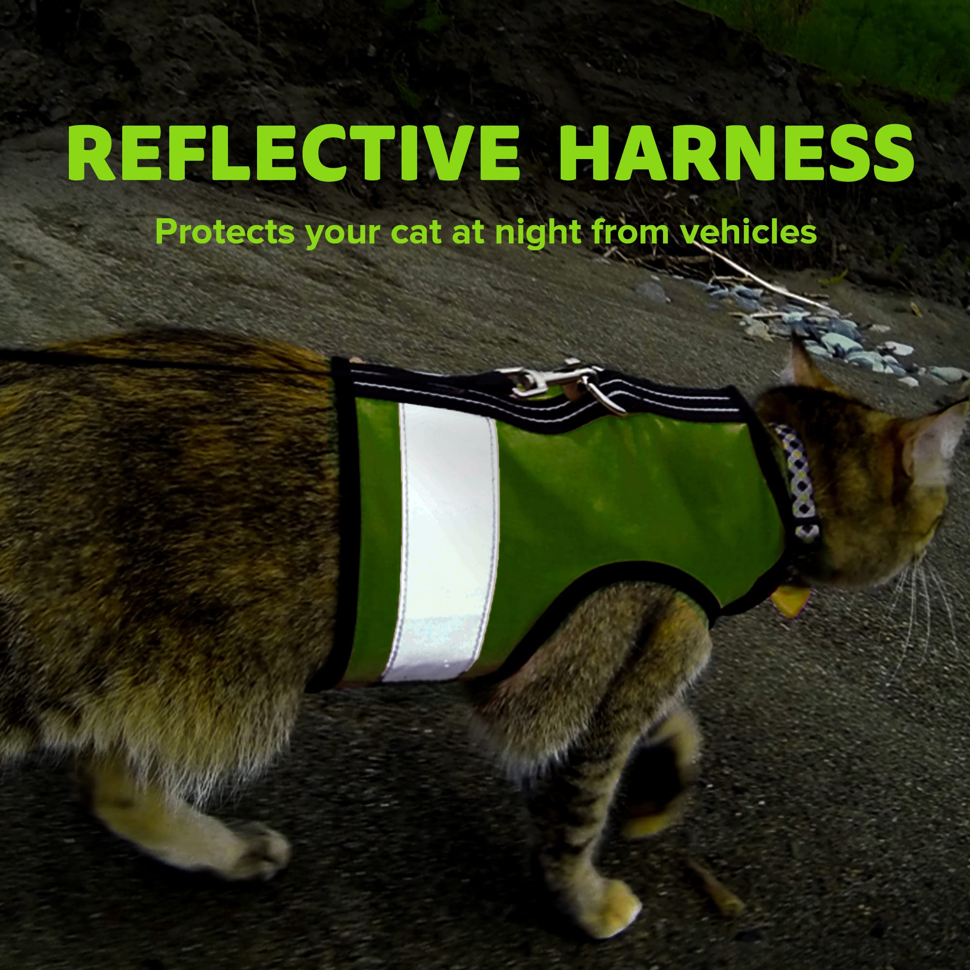 Kitty Holster USA-made harness ideal for travel, daily strolls, and vet visits.