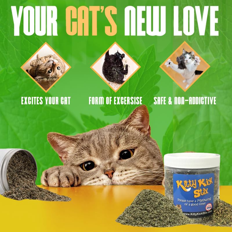 Kitty Kick Stix ideal for indoor-play sessions—promotes movement and bonding.