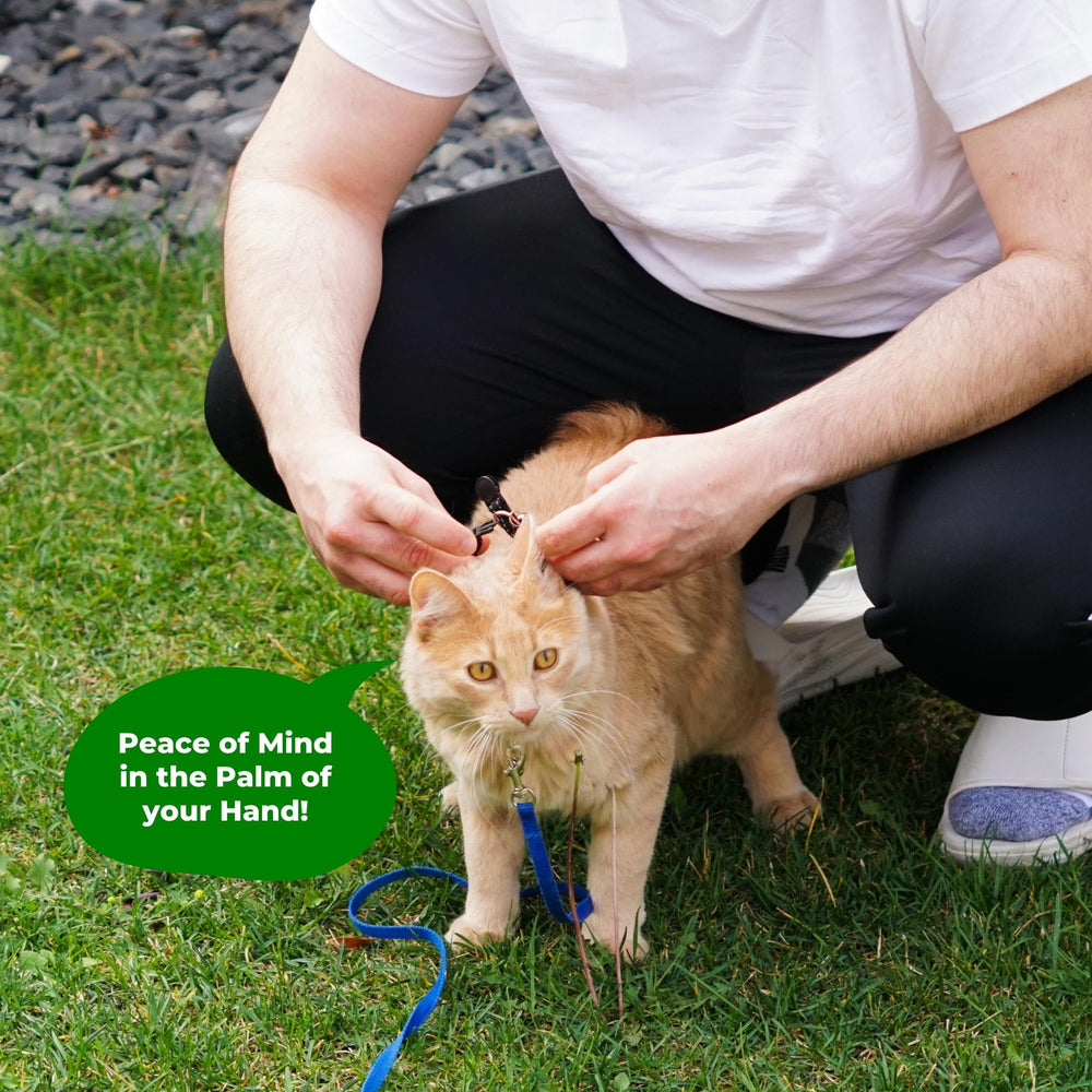 Kitty Kompass easy-clip system makes Tile Sticker attachment fast and secure.