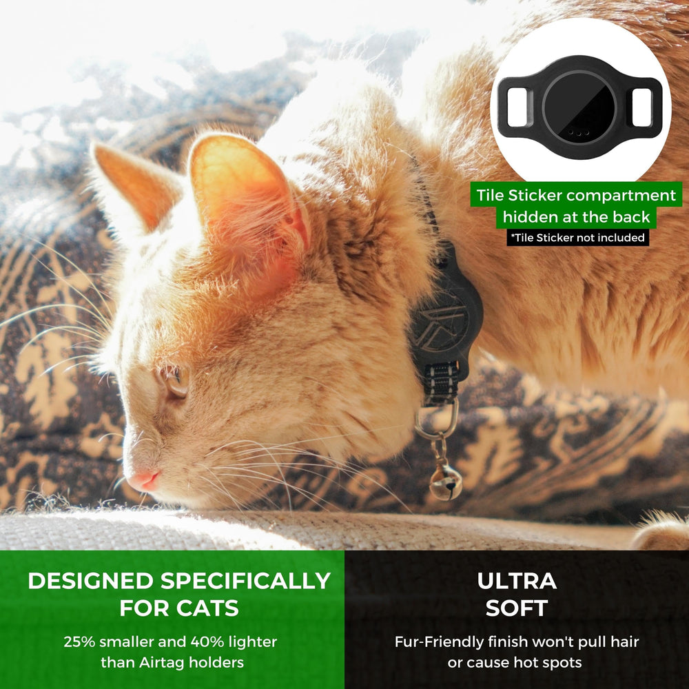 Kitty Kompass reflective blue collar enhances nighttime visibility for safer feline viewing.