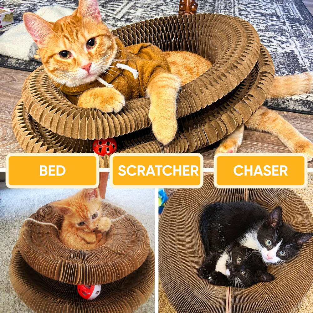 Kitty Kurlz ball track with bell offers continuous chase and hunting-style activity