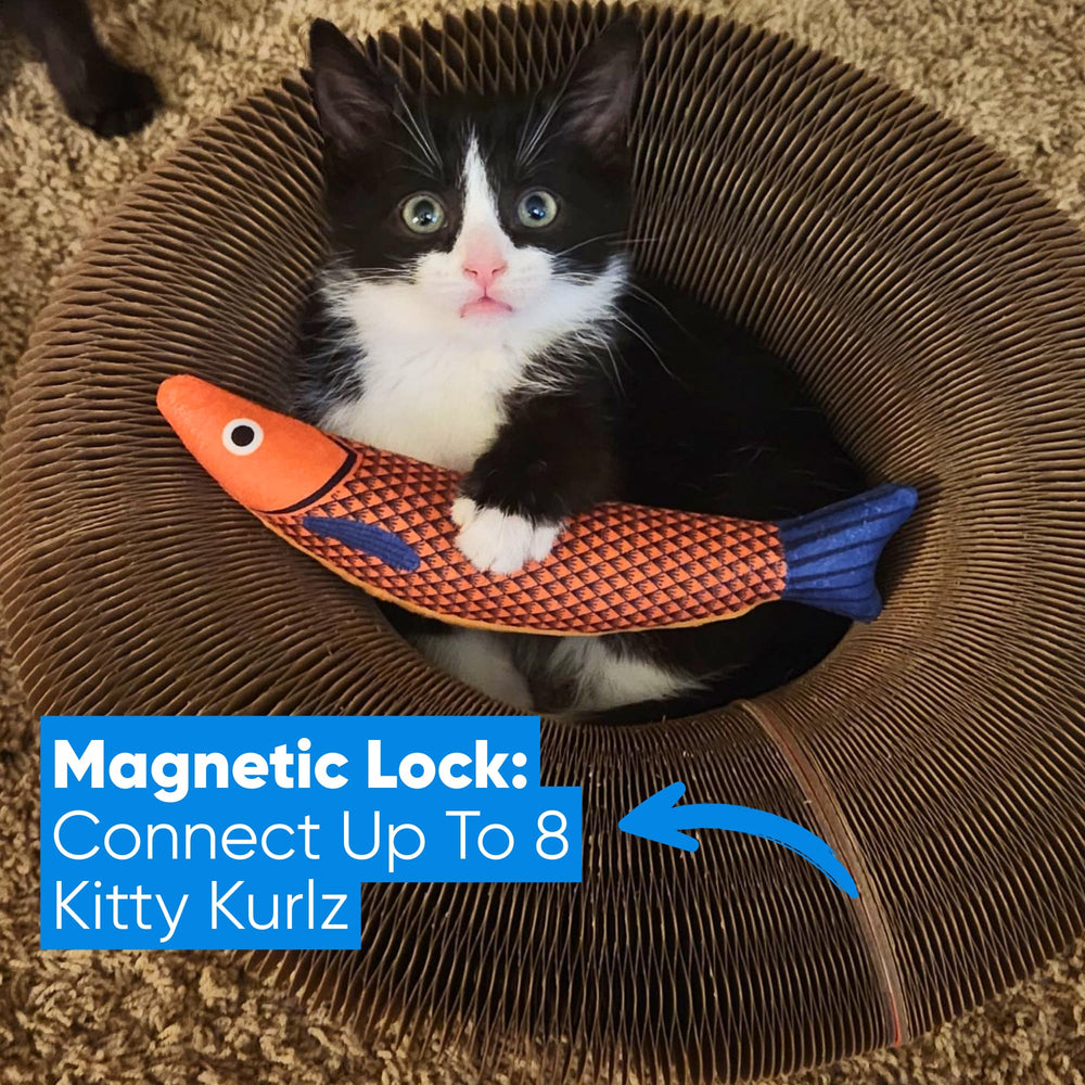 Kitty Kurlz foldable setup enables quick magnetic assembly and easy storage