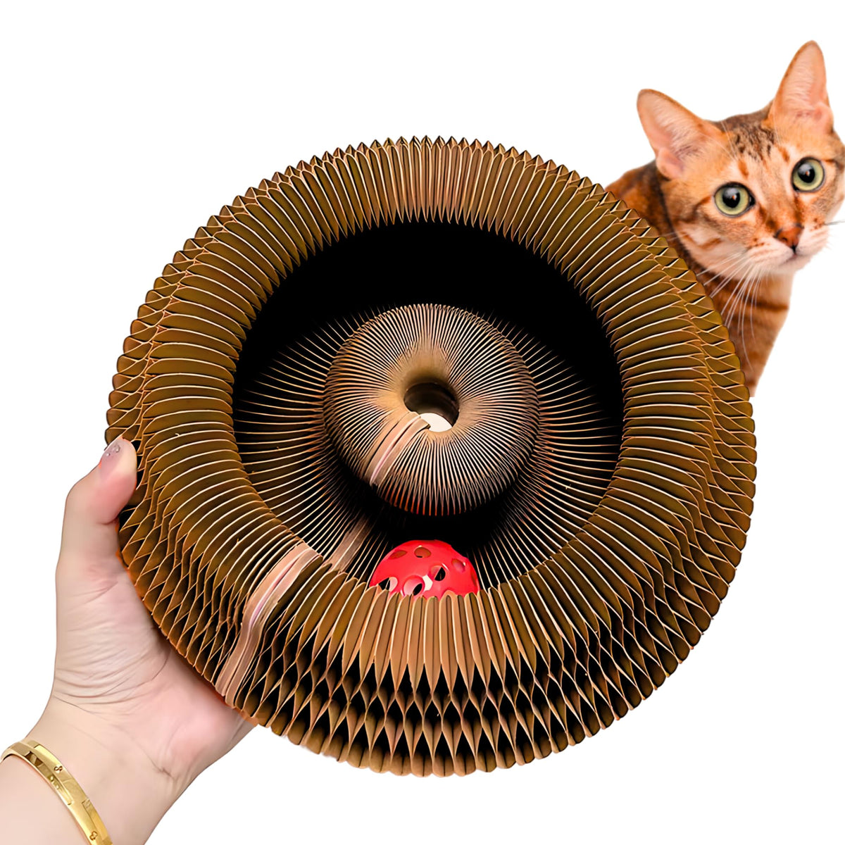 Kitty Kurlz magnetic toy assembly inspires curiosity and interactive play