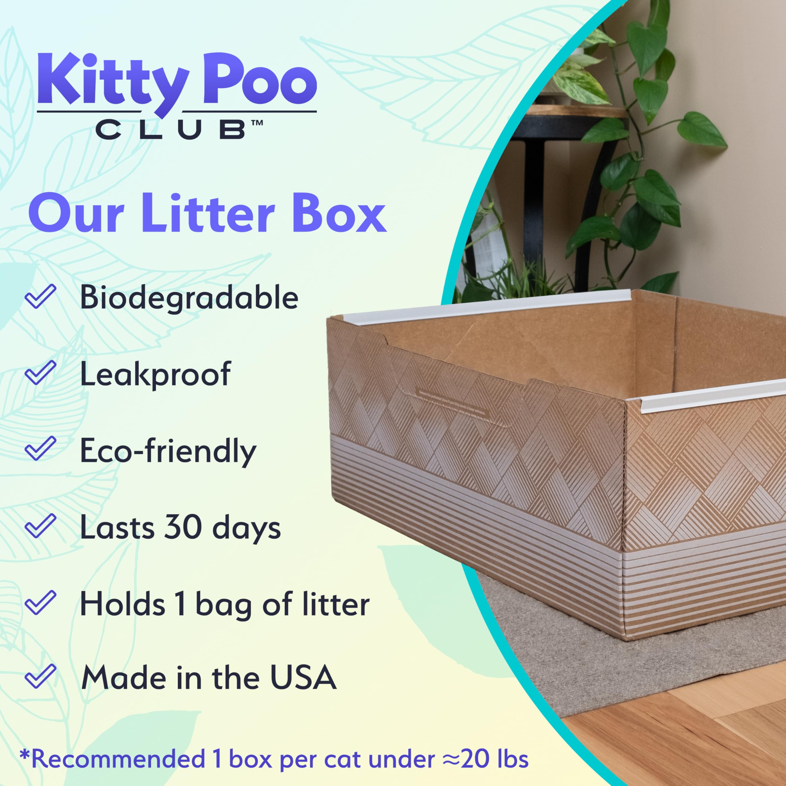 Kitty Poo Club durable disposable litter box, top view, ideal for daily use