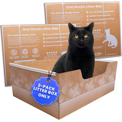 Kitty Poo Club leakproof 2-pack litter box, front view, helps keep litter drier