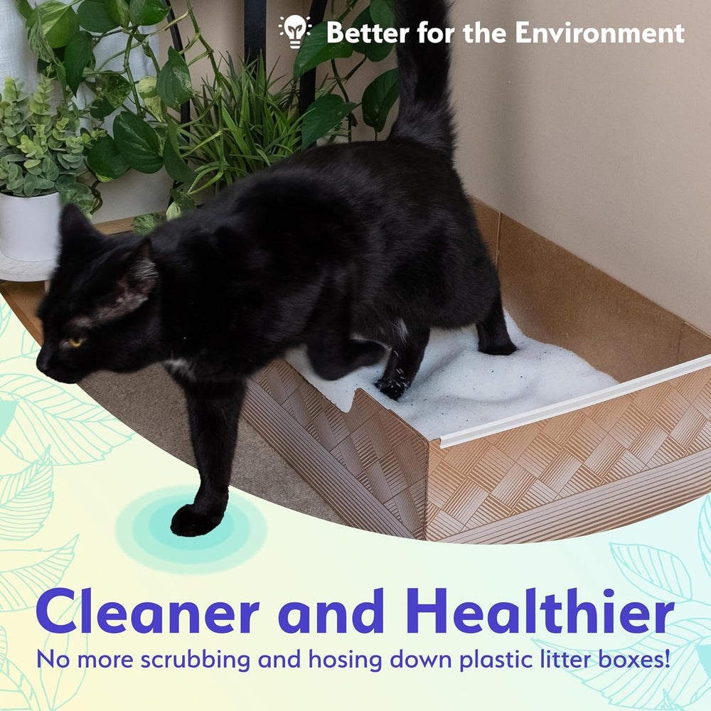 Kitty Poo Club usa-made disposable litter box, front view