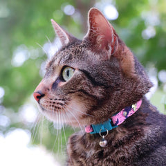Kittyrama Botanicals Fern kitten-fit collar shown in smaller size for growing cats.