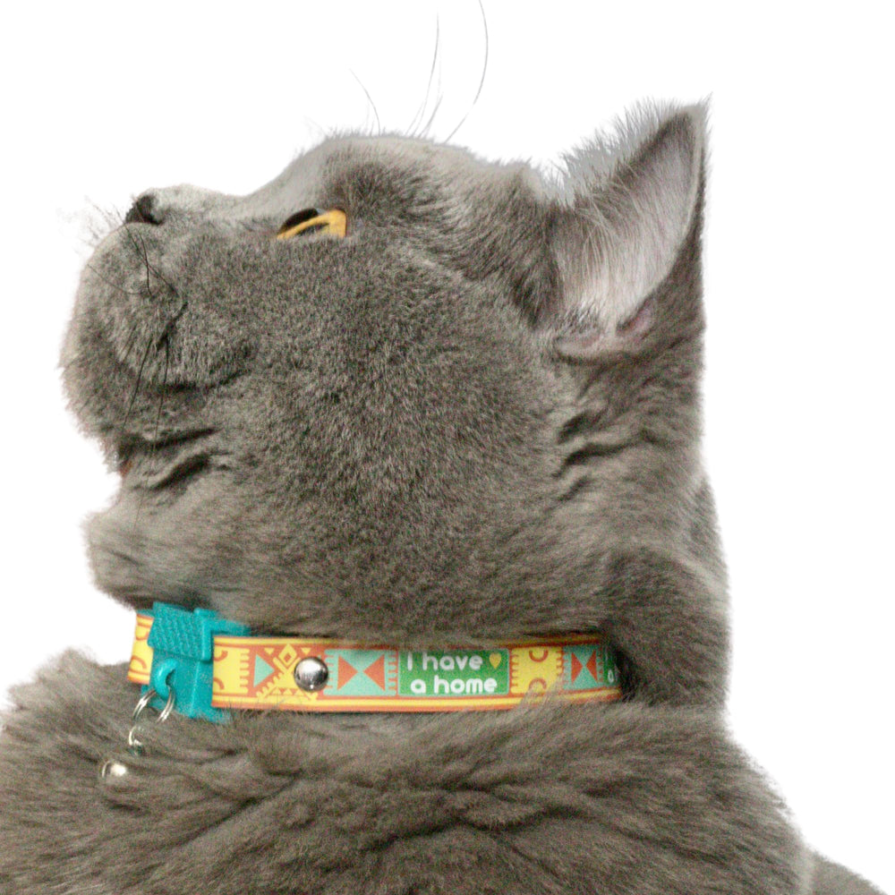 Kittyrama I Have A Home collar shows hypoallergenic strap