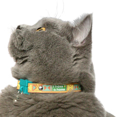 Kittyrama I Have A Home collar shows hypoallergenic strap
