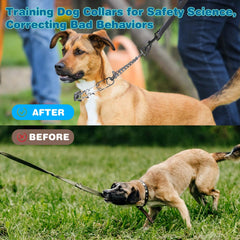 Kitys Fatch 5ft professional dog training leash demonstrates controlled handling
