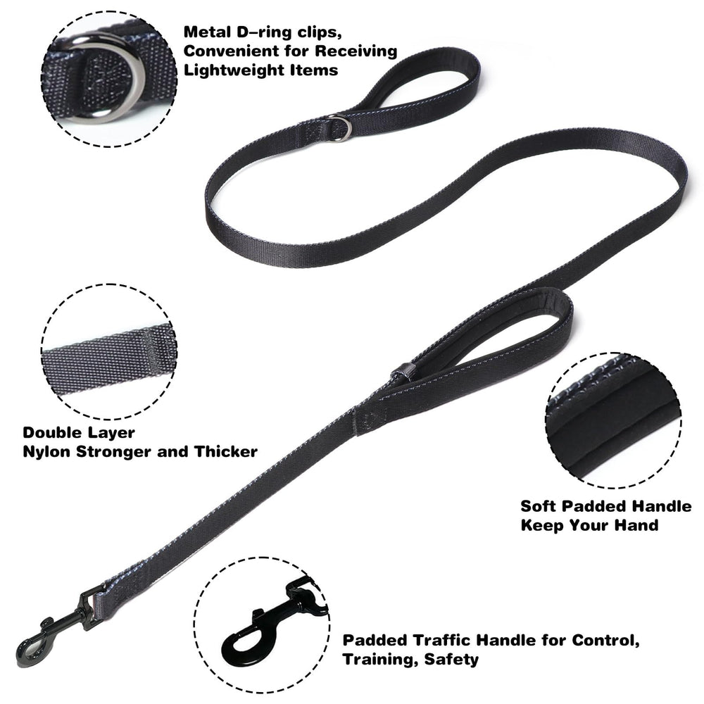 Kitys Fatch prong collar on a dog during a walk showing gentle guidance