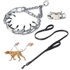 Kitys Fatch prong collar with 5ft training leash for guided walks