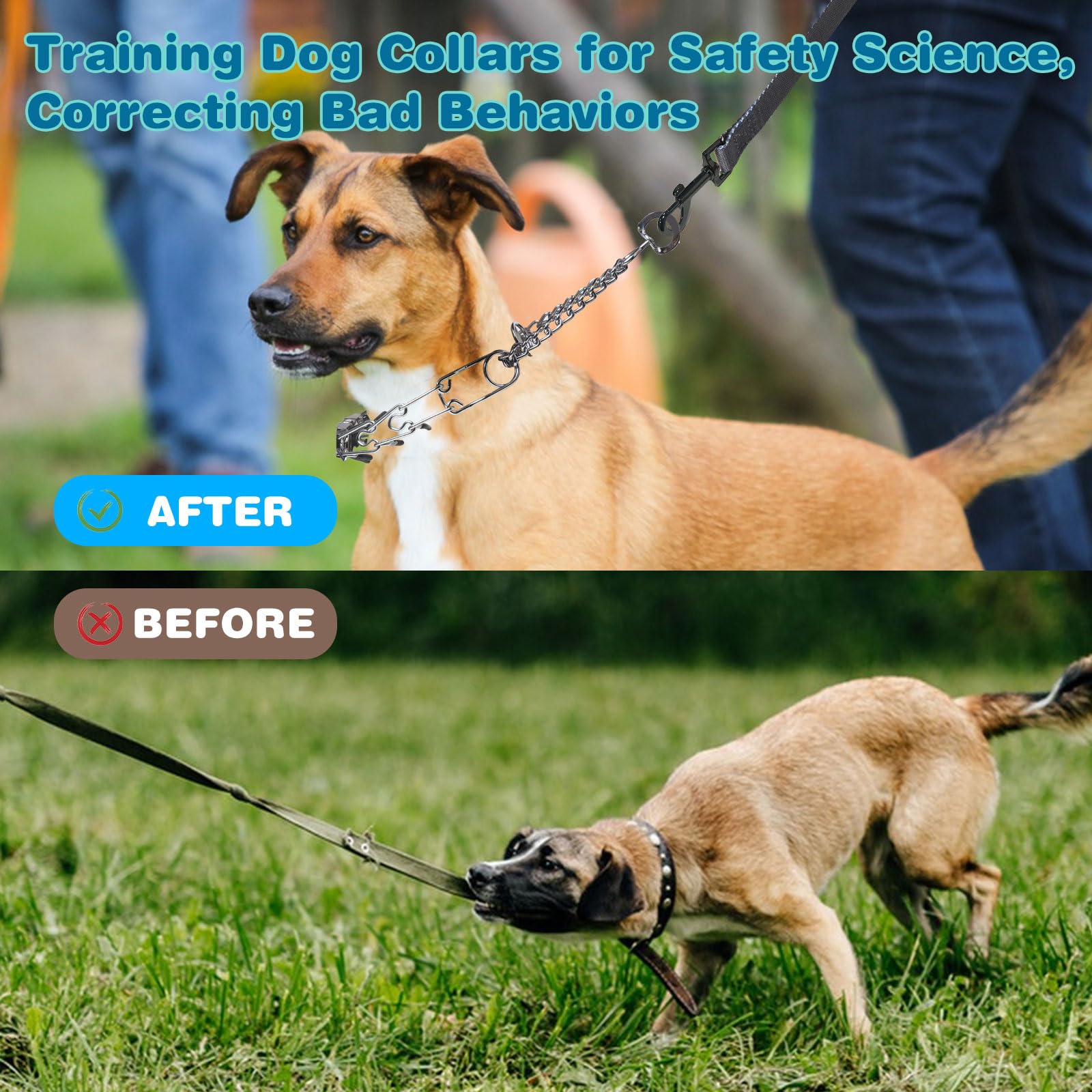 Kitys Fatch prong collar shows silicone cap for protection