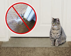KittySmart Carpet Scratch Stopper in doorway protects carpets from scratching