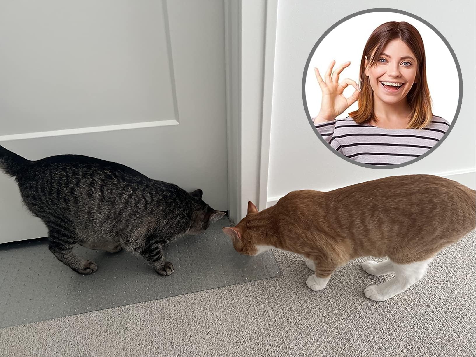 KittySmart installation takes minutes with no cutting or hardware
