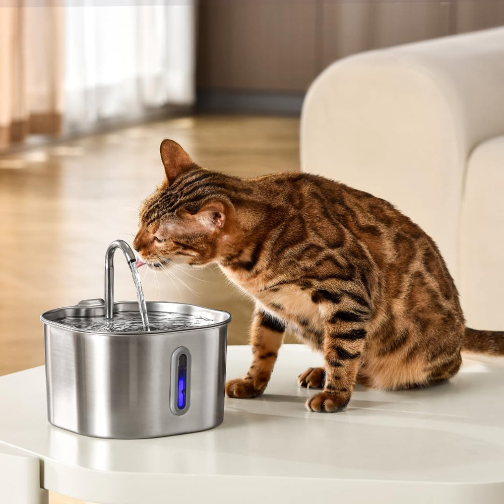 KittySpout 4L capacity reservoir reduces refills for busy households