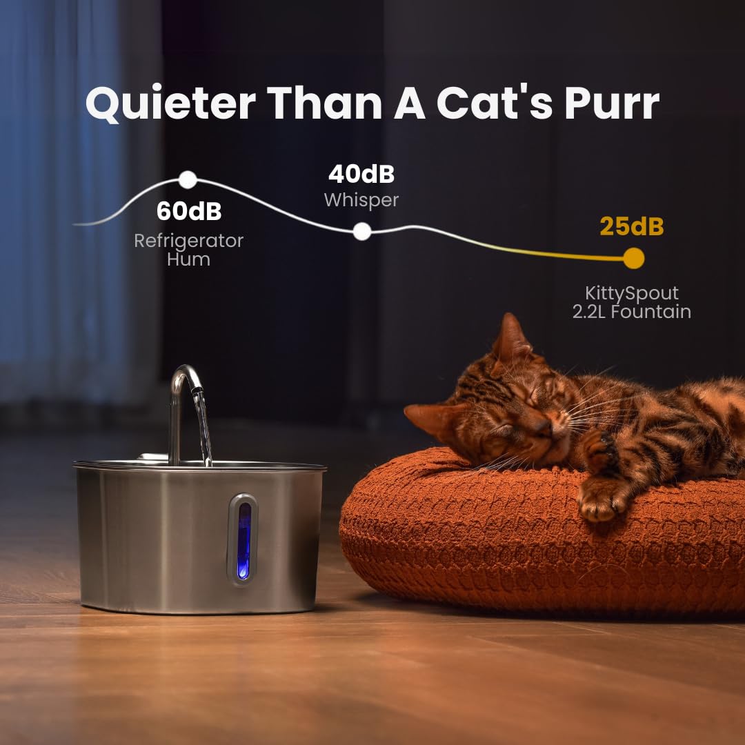 KittySpout stainless-steel-cat-water-fountain multi-cat-use scene demonstrates steady hydration
