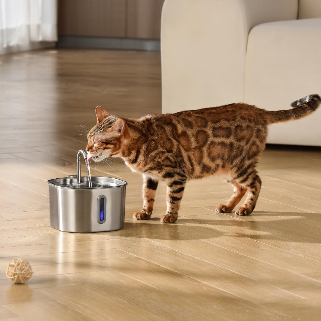KittySpout quiet pump close-up emphasizes peaceful spaces with low noise operation