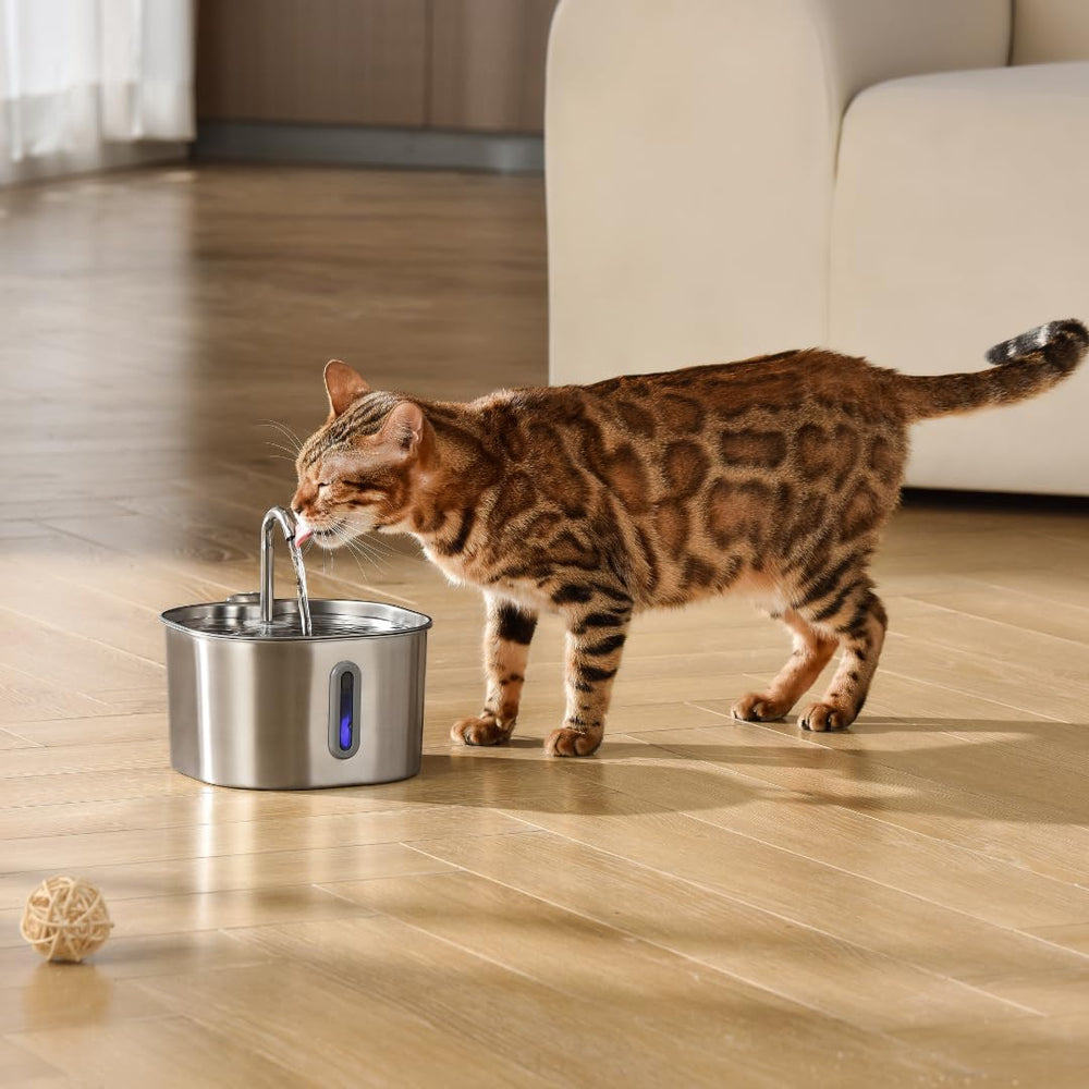 KittySpout quiet pump close-up emphasizes peaceful spaces with low noise operation