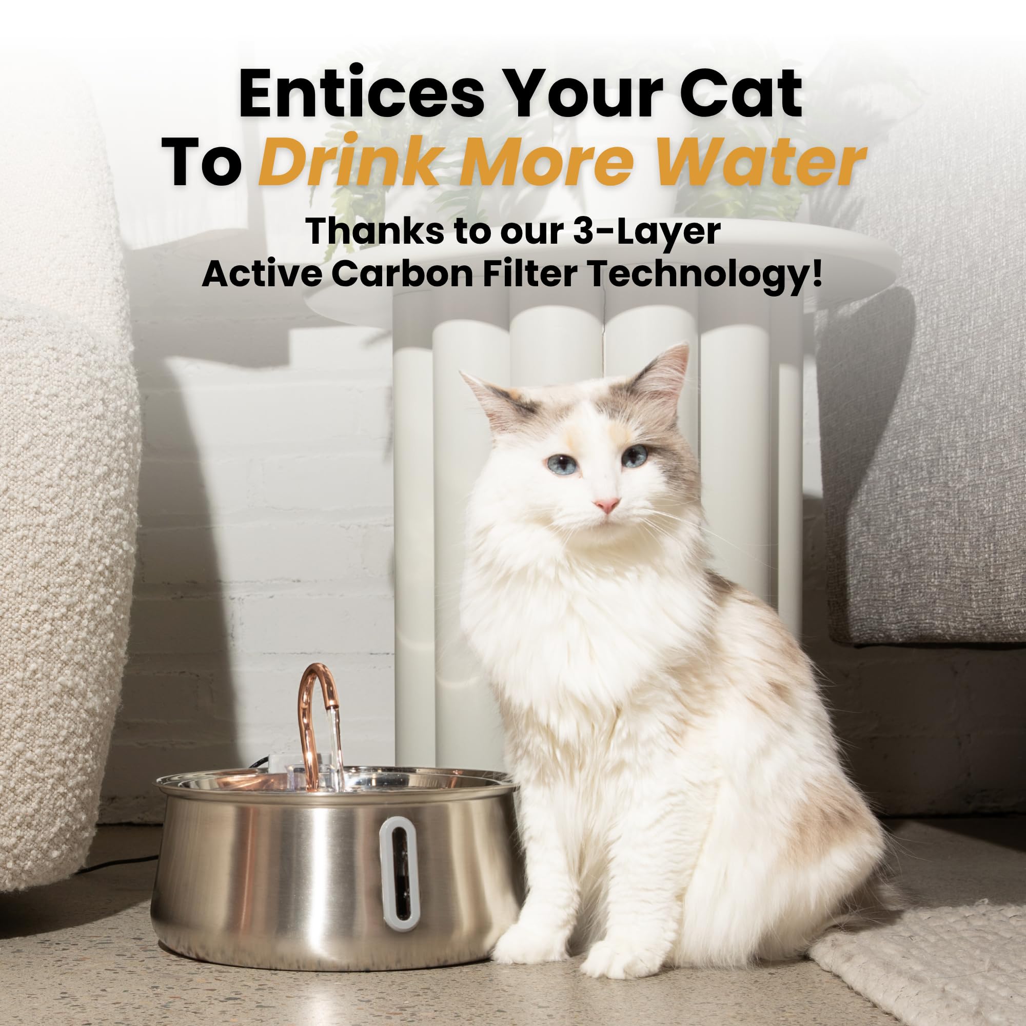 KittySpout stainless steel fountain 4L reservoir illustrates generous capacity for multiple cats.