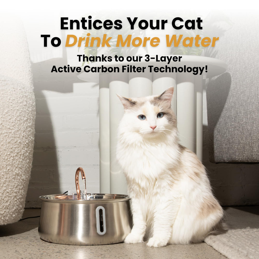 KittySpout stainless steel fountain 4L reservoir illustrates generous capacity for multiple cats.