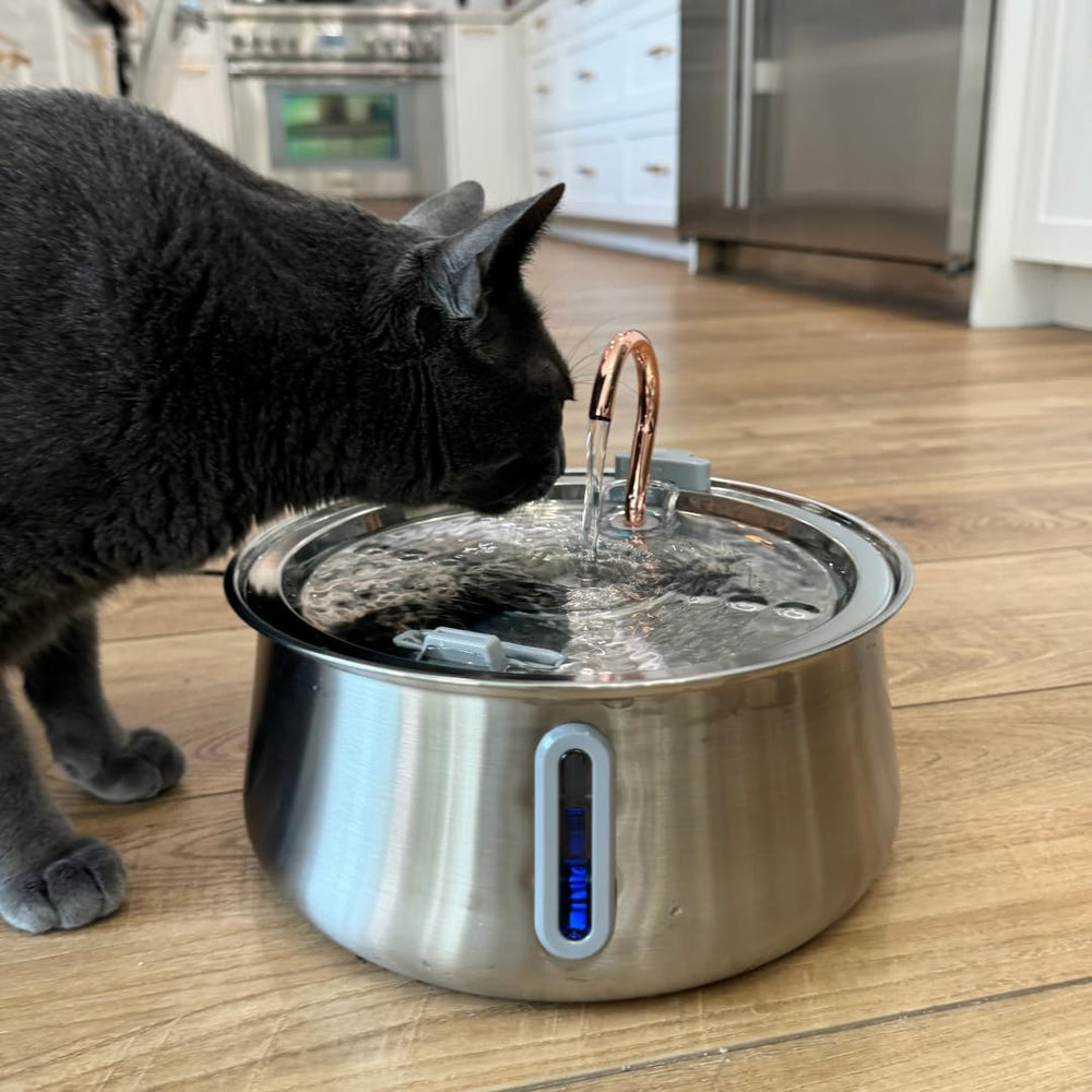 KittySpout stainless steel fountain cleaning-ready surface allows quick maintenance.