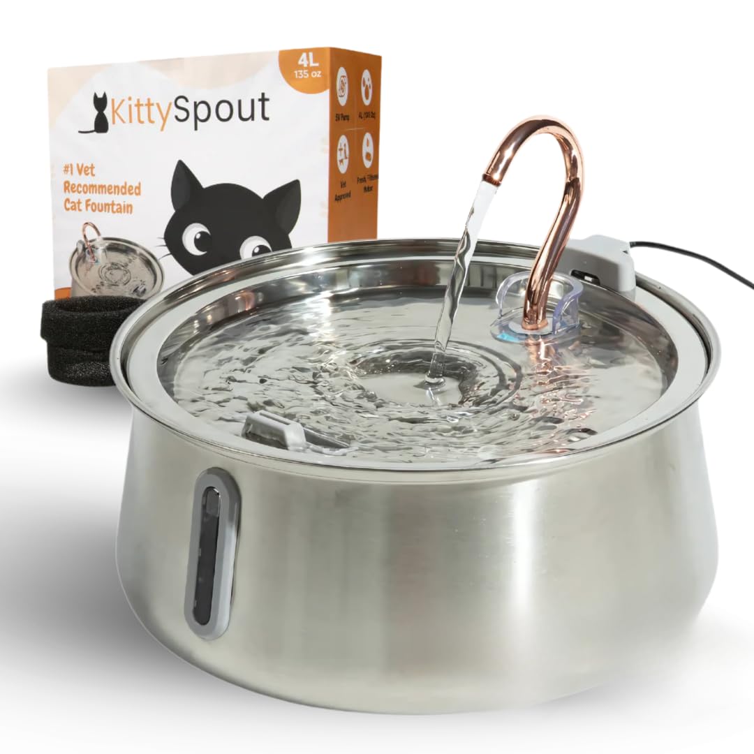 KittySpout stainless steel fountain top view demonstrates a compact, stylish indoor hydration hub.