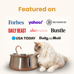 KittySpout stainless steel fountain water level window shows easy refill reminders.