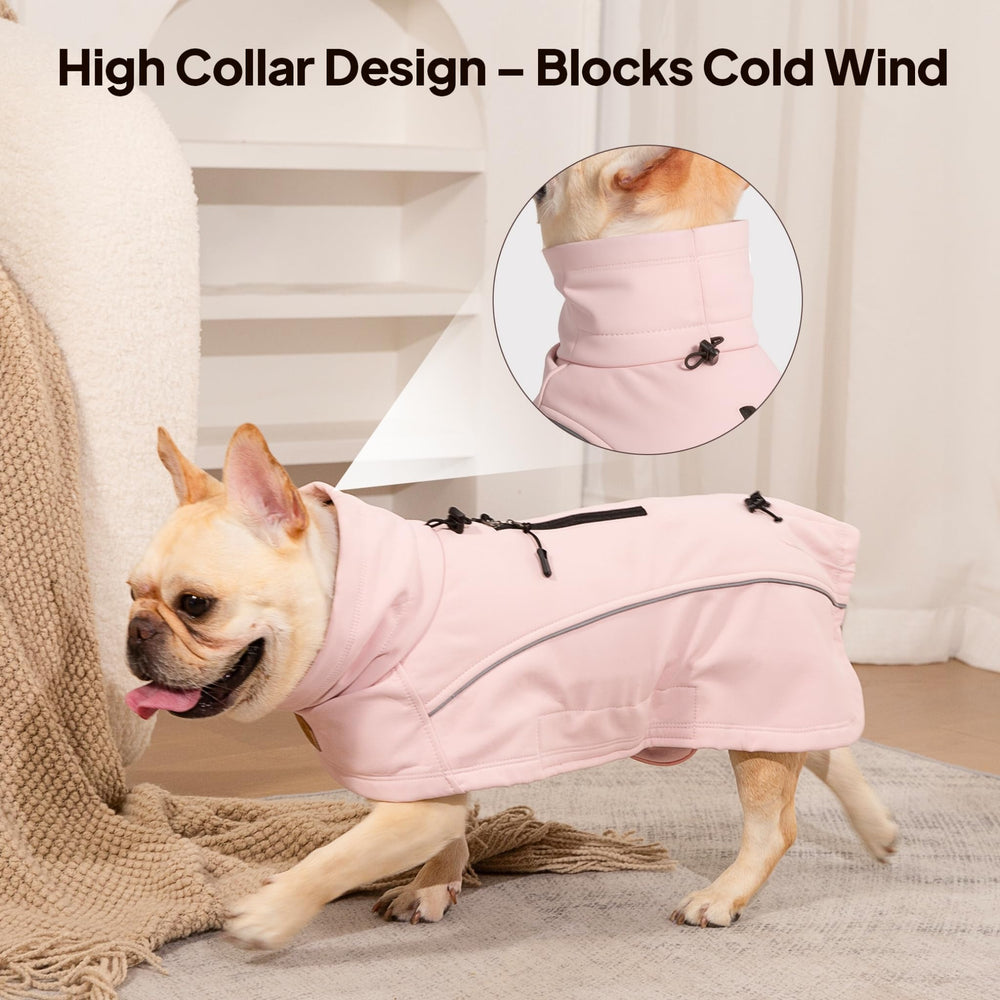 KITVAMREX coat available in S to 2XL for many breeds.