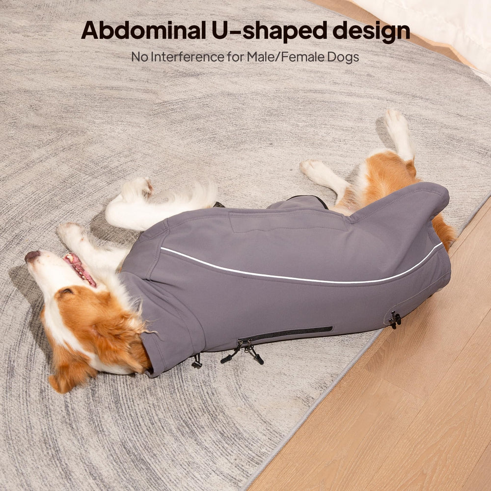 KITVAMREX U-shaped belly cut prevents interference for all dogs.