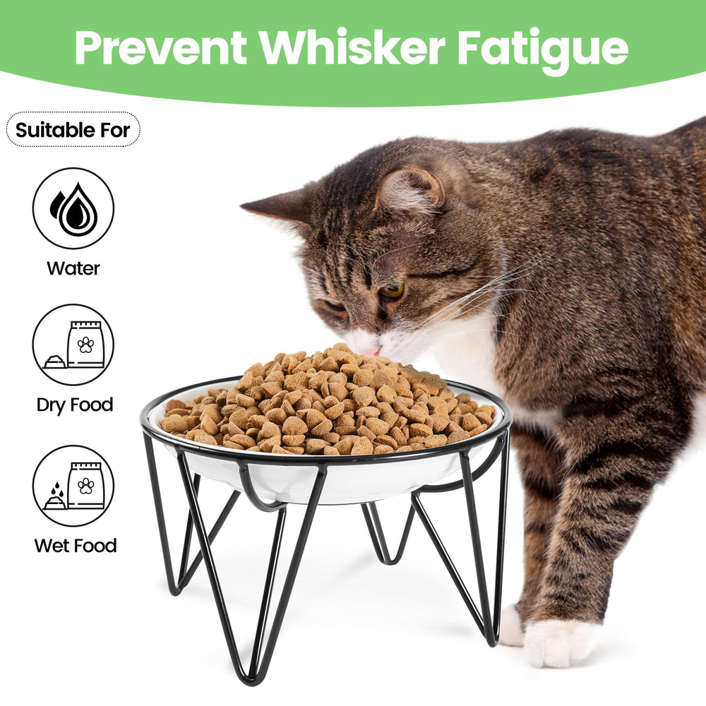 Kitwinney ceramic cat bowls dish-closeup; wide shallow bowls for whisker comfort.