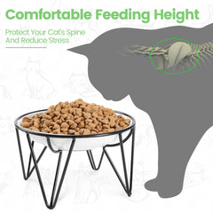 Kitwinney ceramic cat bowls whisker-friendly design; protects whiskers during meals.