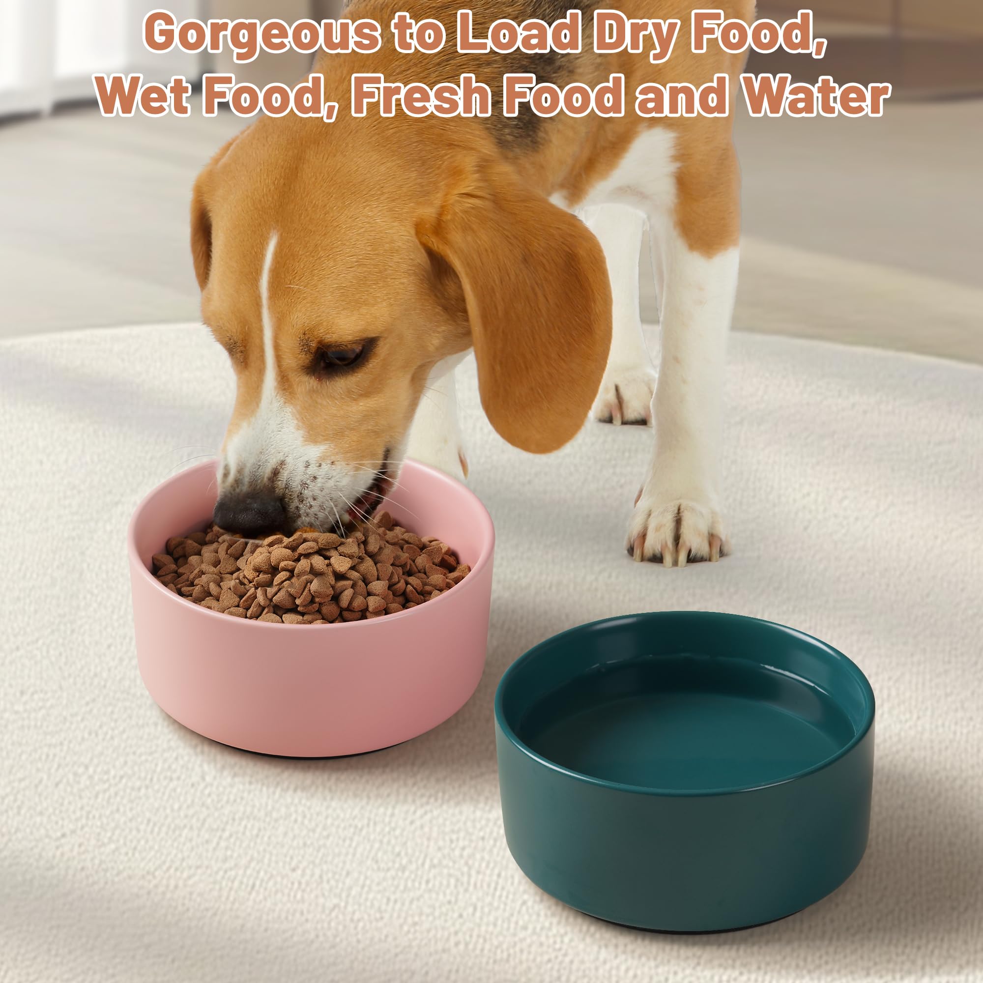 Kitwinney 6-inch capacity bowl holds about 3.5 cups of kibble or water