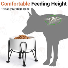 Kitwinney elevated dog bowl stand black metal supports stable feeding.