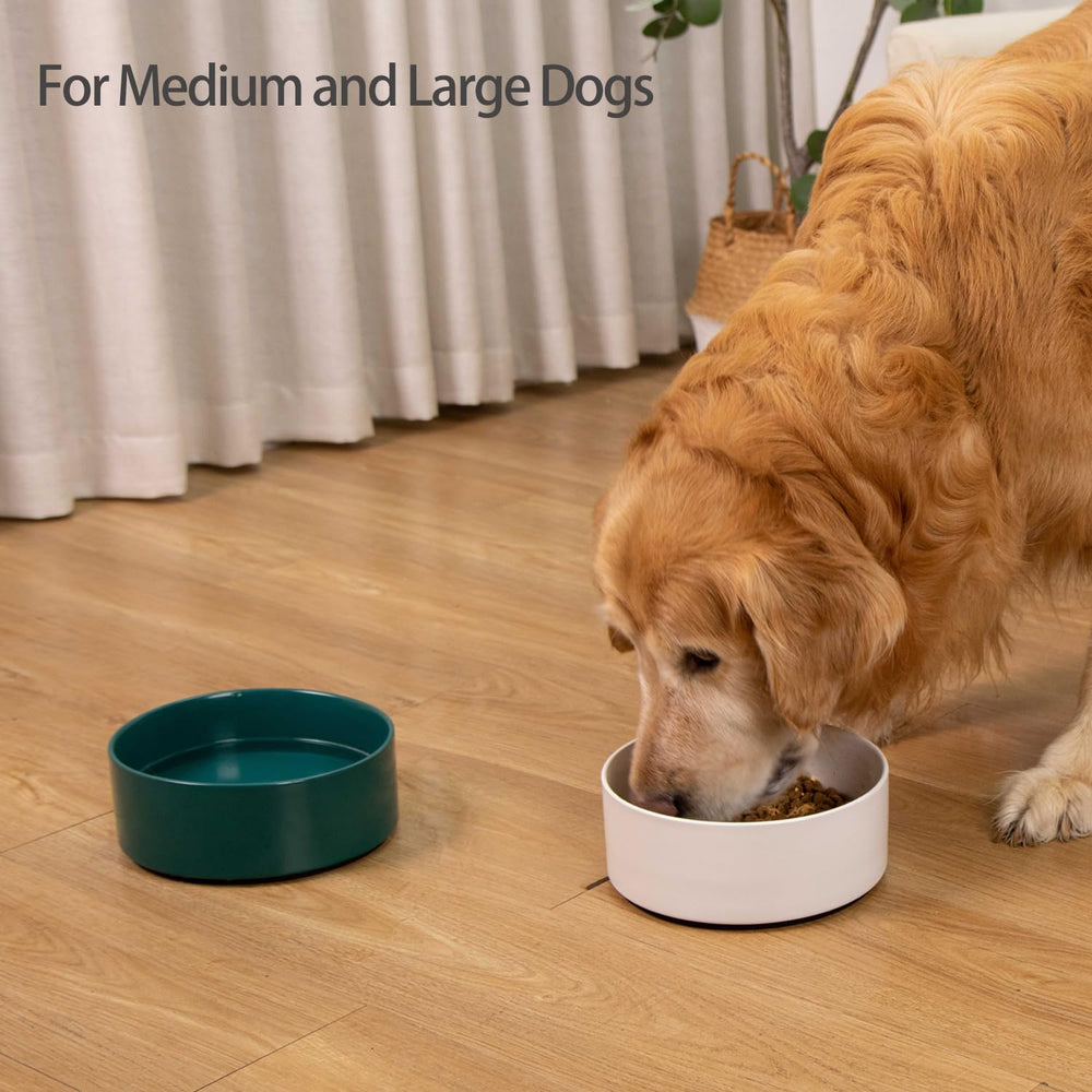 Kitwinney large green bowl easy-clean glaze supports dishwasher-safe convenience after meals.