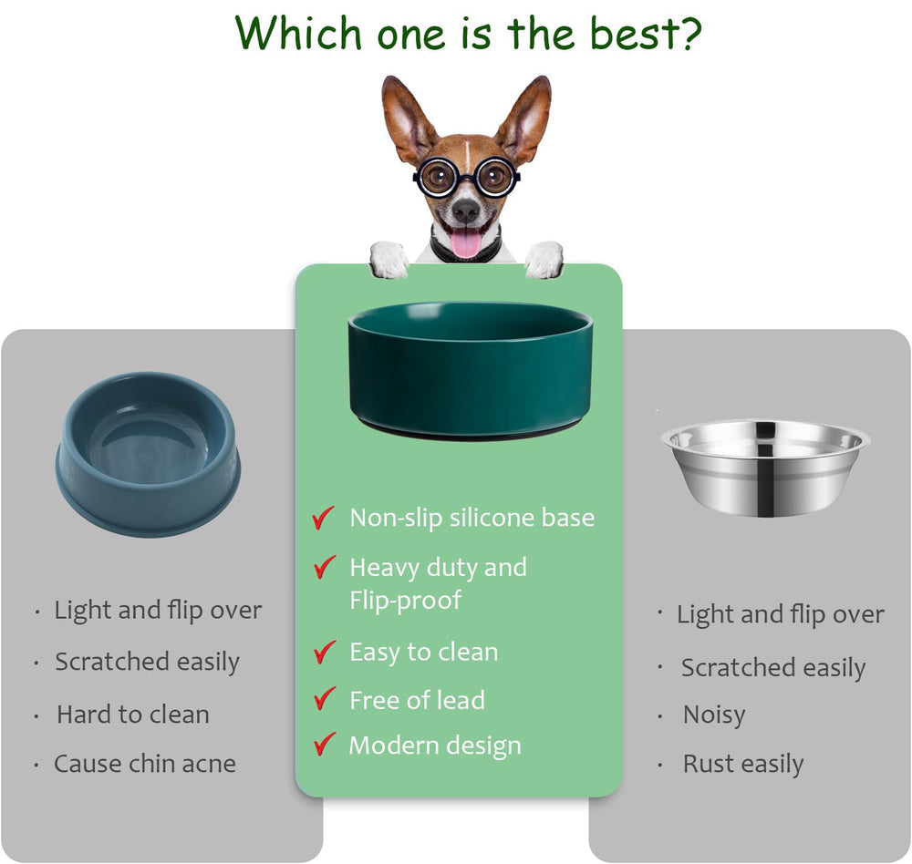 Kitwinney large green bowl kitchen-scene suits modern home decor during feeding.
