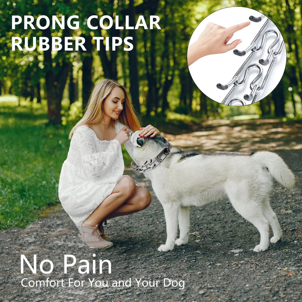 Kitys Fatch no-pull demonstration shows smoother walks with the training collar