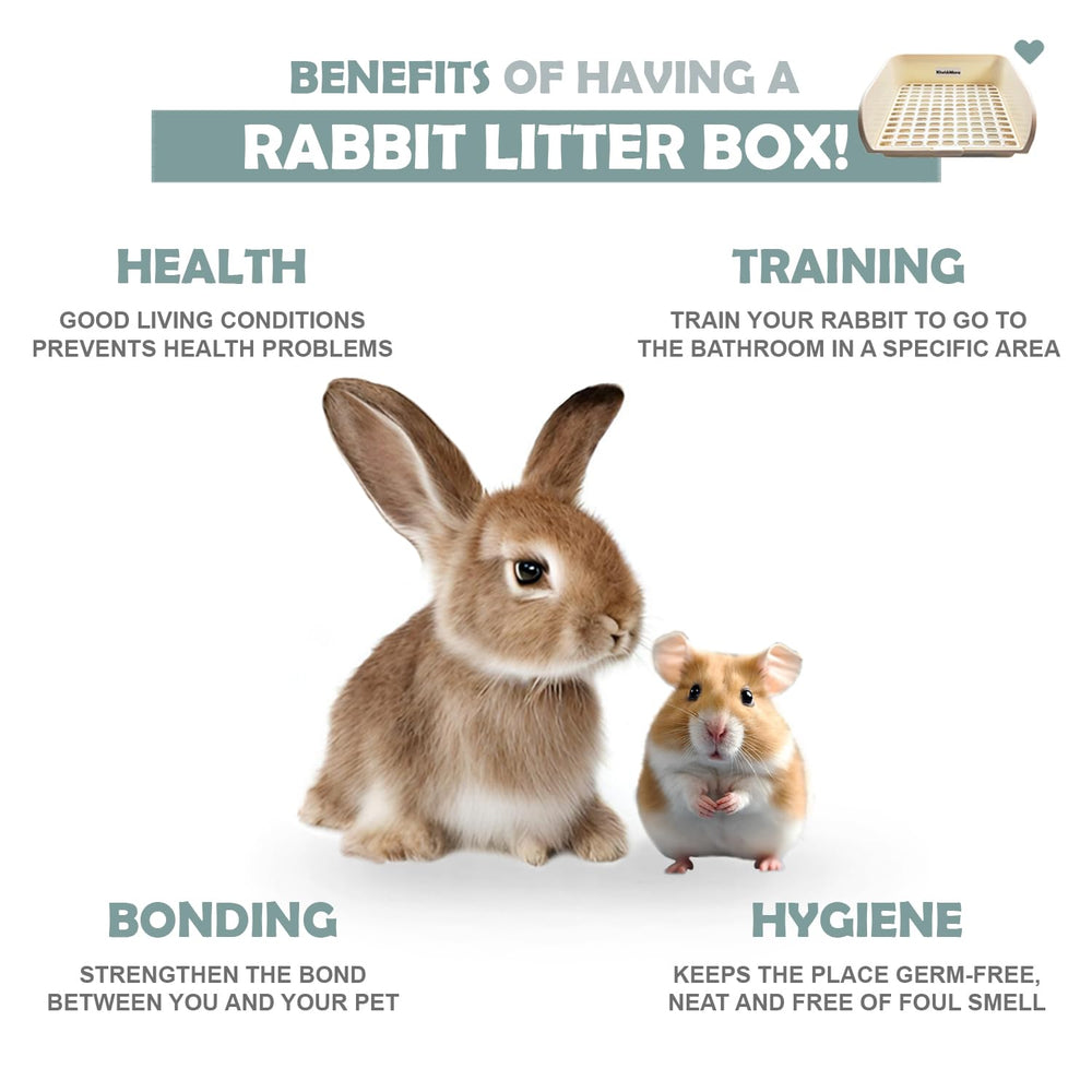 Kiwi & Mora rabbit litter box low-entry design aids gentle training.