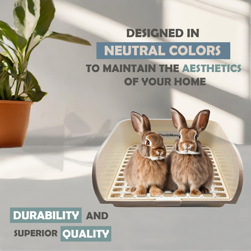 Kiwi & Mora rabbit litter box odor-control feature helps keep rooms fresh.