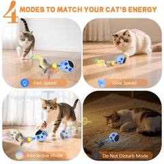 KiwiLove cat toy feather tail chase sparks hunting instincts with lively movement.