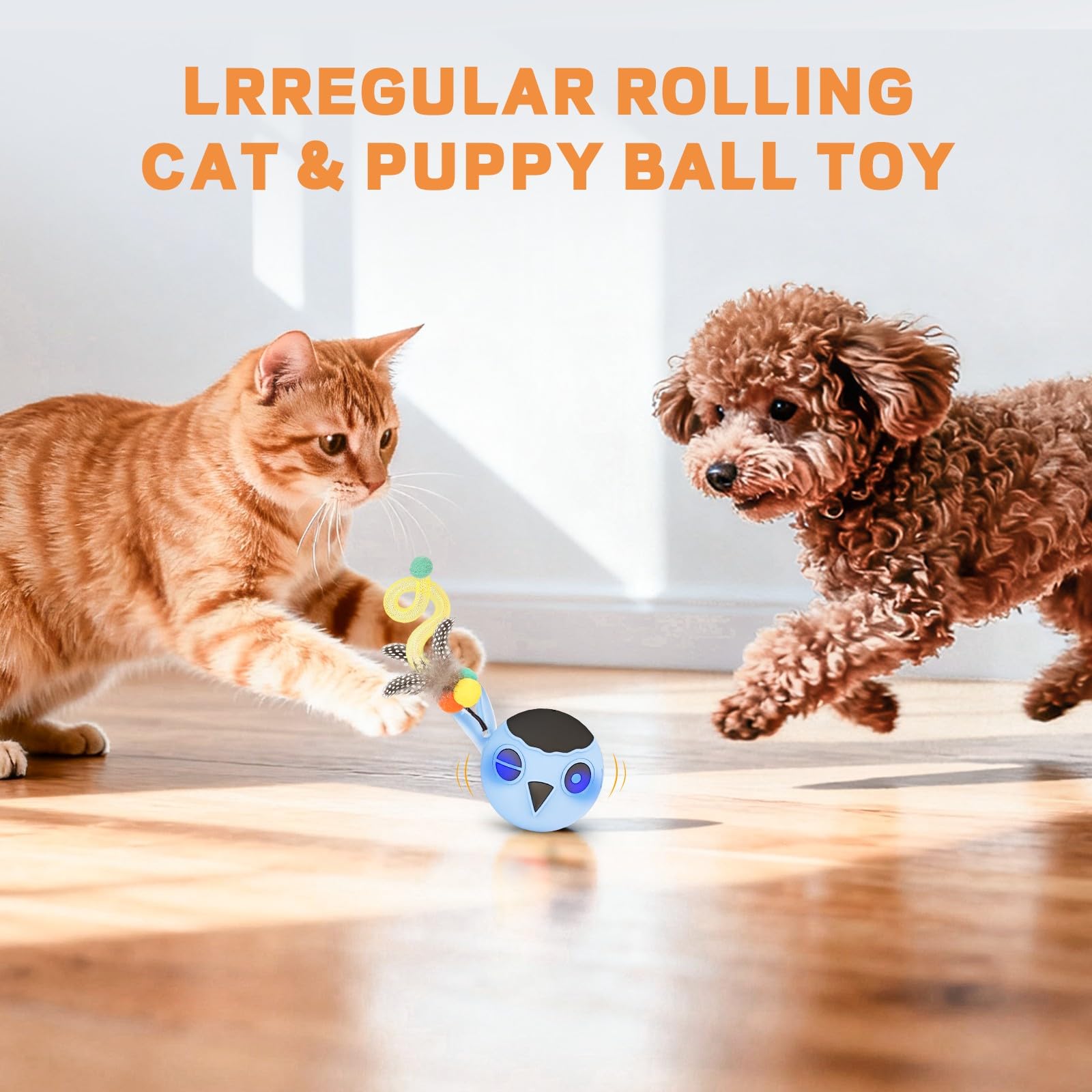 KiwiLove cat toy indoor-exercise glide supports daily activity across floors.