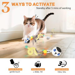 KiwiLove motion-led chase visually stimulates curiosity and exercise