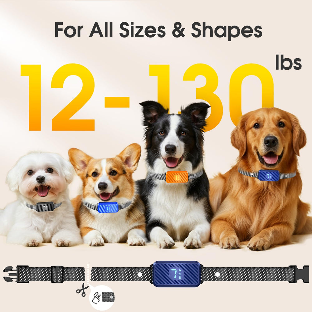KJKZO waterproof bark collar on a dog near water, demonstrating IP65 rating.