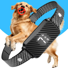 KJKZO dog bark collar AI sensors close-up for precise barking detection