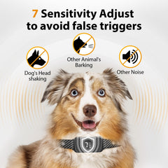 KJKZO bark collar shows 0.1-second response for timely training cues