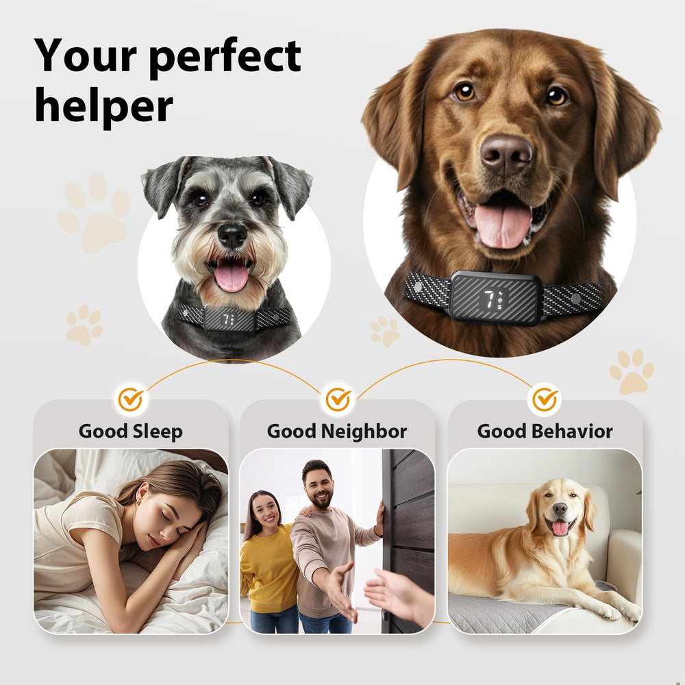 KJKZO bark collar in a multi-dog home shows suitable sizing for many dogs
