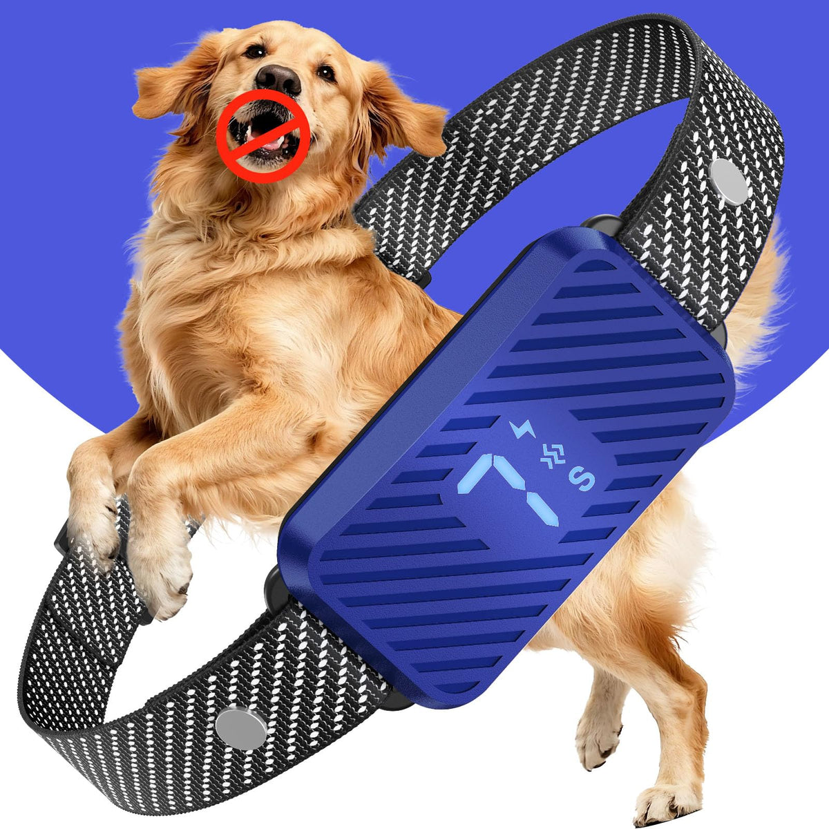 KJKZO dog bark collar worn during a calm daily walk highlighting reduced barking benefits