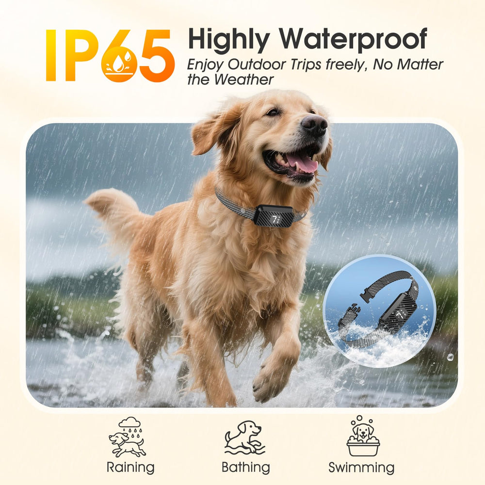 KJKZO bark collar safety protection demonstrates cooldown after consecutive barks