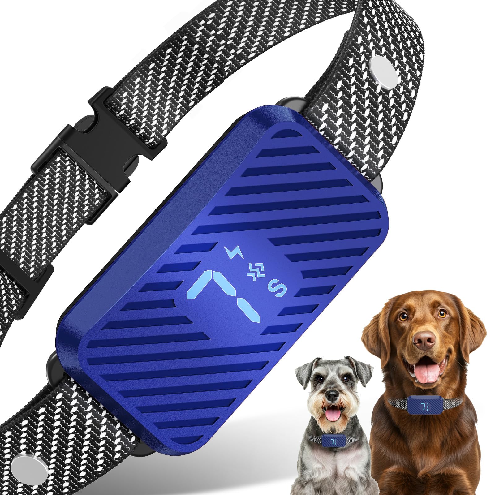 KJKZO bark collar worn on a medium dog for reduced barking during quiet evenings.