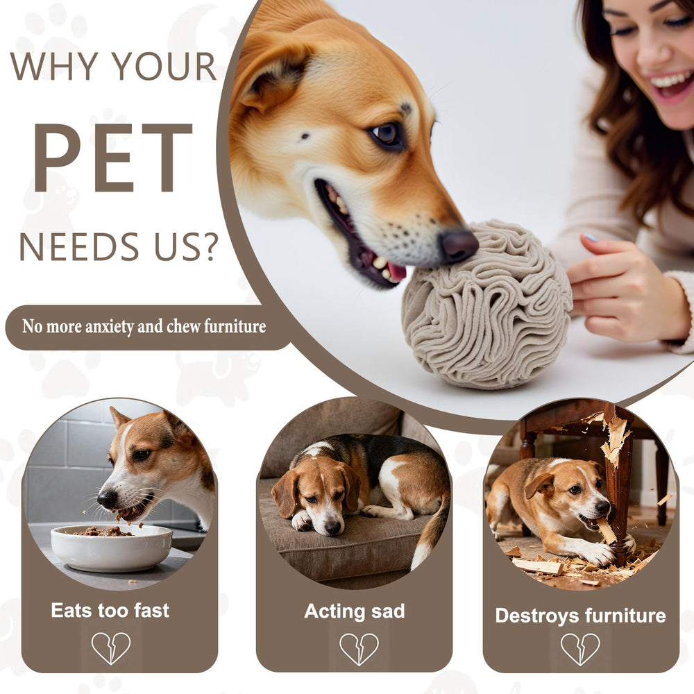 kmirepa interactive puzzle game reduces indoor boredom and chewing.